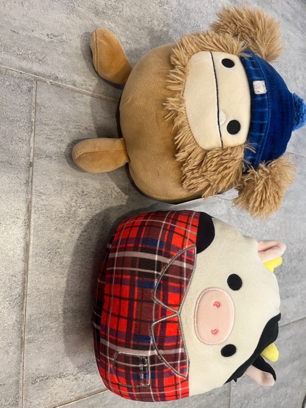Connor and Benny fall Squishmallows